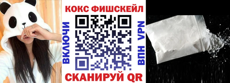 Купить  Жигулёвск  COCAIN Fish Scale 