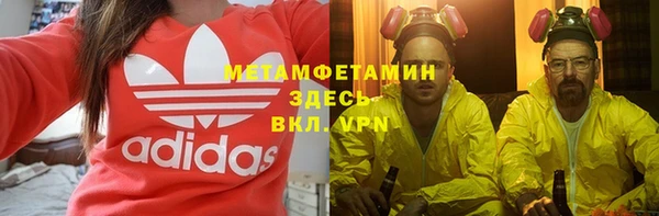 индика Аркадак