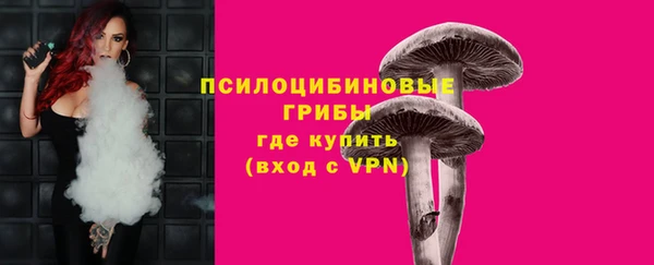 индика Аркадак
