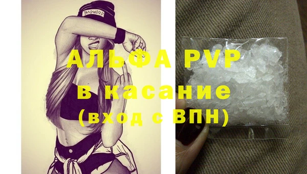 индика Аркадак