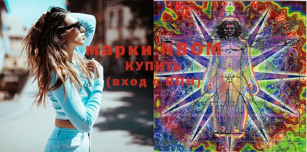 индика Аркадак
