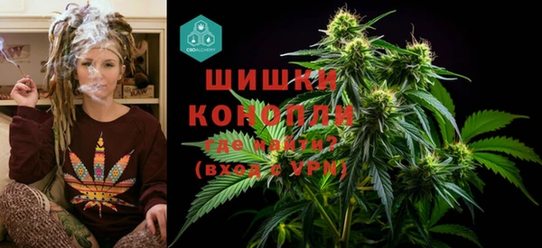 индика Аркадак