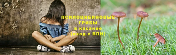 СК Арсеньев
