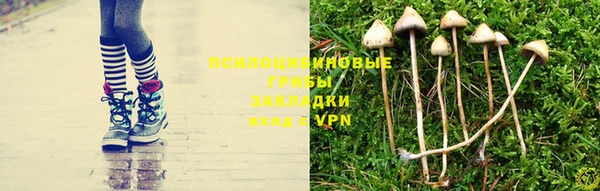 индика Аркадак